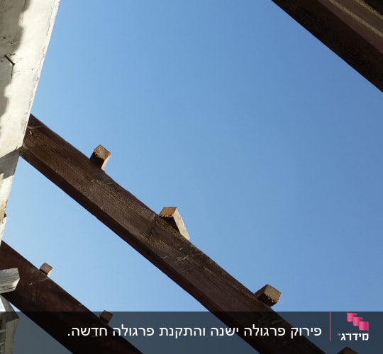 קורות עץ חשופות על גג פתוח בשיפוצים